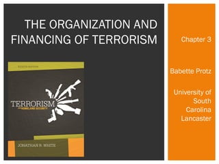 Chapter 3 
Babette Protz 
University of 
South 
Carolina 
Lancaster 
THE ORGANIZATION AND 
FINANCING OF TERRORISM 
 