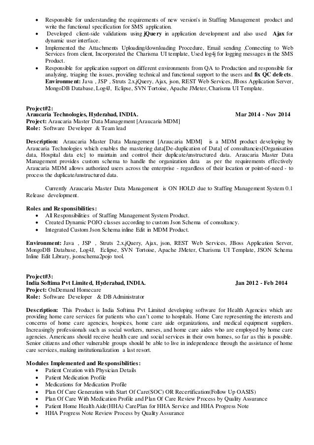 team lead resumes