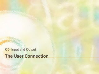 The User Connection
C5- Input and Output
 
