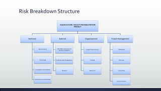 Risk Breakdown Structure
 