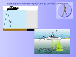 Έτσι μετράνε τα  sonar  το βάθος και το μέγεθος των ψαριών 