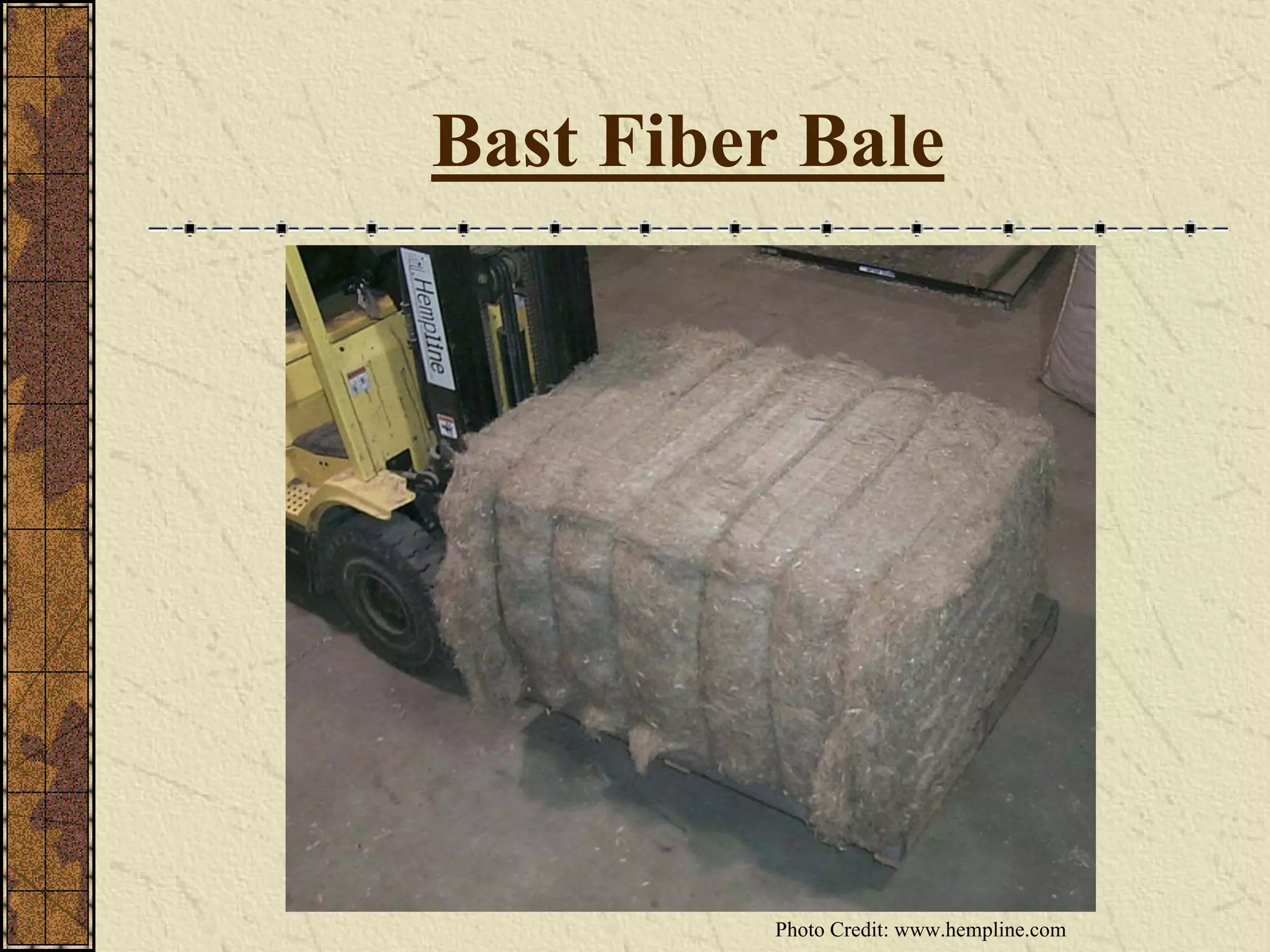 Bast Fiber Bale
Photo Credit: www.hempline.com
 