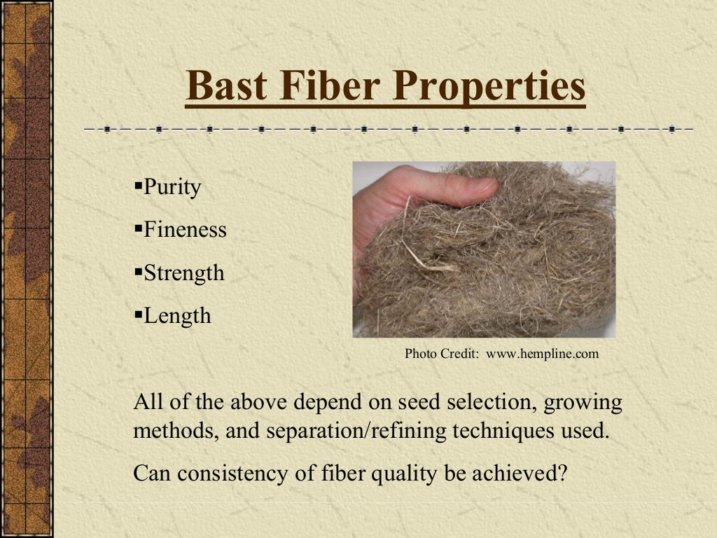 Bast fiber