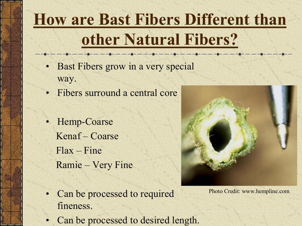 Bast fiber