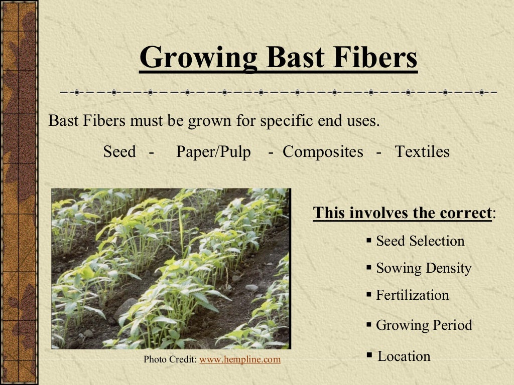 Bast fiber