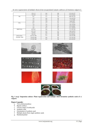 In vitro regeneration of multiple shoots from encapsulated somatic embryos of Artemisia vulgaris L.
www.iosrjournals.org 15 | Page
1.0+1.5 4-6 80 2.14 ±0.127
1.0+2.0 5-7 87 3.19 ±0.261
Kn 0.5 5-7 20 0.09 ±0.178
1.0 4-6 49 1.24 ±0.278
1.5 4-6 50 1.72 ±0.09
2.0 3-4 81 2.00 ±0.07
GA3 0.5 3-7 63 1.15 ±0.051
1.0 3-6 65 1.82 ±0.078
1.5 3-6 80 2.19 ±0.091
2.0 4-7 81 2.71 ±0.074
BAP+GA3 0.5+0.5 4-6 59 1.75 ±0.150
0.5+1.0 4-5 65 1.80 ±0.075
1.0+0.5 4-6 80 2.14 ±0.127
1.0+1.0 6-7 89 3.19 ±0.261
GA3+IAA+
Ascorbic Acid
0.5+0.5+40 5-7 80 2.50 ±0.180
1.0+0.5+40 4-6 85 3.33 ±0.192
1.5+0.5+40 4-5 90 4.10 ±0.325
Fig. 1 (a-g): Suspension culture: Plant regeneration and multiple shoot formation synthetic seeds of A.
vulgaris.
Figure Legends:
a. Two-celled proembryo
b. Bipolar embryo
c. Various stages of embryoids
d. Synthetic seed
e. Germination of synthetic seed
f. Multiple shoots from single synthetic seeds
g. Hardened potted
 
