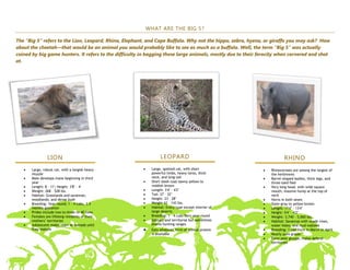 WHAT ARE THE BIG 5?

The “Big 5” refers to the Lion, Leopard, Rhino, Elephant, and Cape Buffalo. Why not the hippo, zebra, hyena, or giraffe you may ask? How
about the cheetah—that would be an animal you would probably like to see as much as a buffalo. Well, the term “Big 5” was actually
coined by big game hunters. It refers to the difficulty in bagging these large animals, mostly due to their ferocity when cornered and shot
at.




                LION                                             LEOPARD                                                 RHINO
       Large, robust cat, with a longish heavy              Large, spotted cat, with short                       Rhinoceroses are among the largest of
       muzzle                                               powerful limbs, heavy torso, thick                   the herbivores
       Male develops mane beginning in third                neck, and long tail                                  Barrel-shaped bodies, thick legs, and
       year                                                 Short sleek coat tawny yellow to                     three-toed feet
       Length: 8 – 11'; Height: 3'8" – 4'                   reddish brown                                        Very long head, with wide square
       Weight: 268 – 528 lbs.                               Length: 3'4" – 4'2"                                  mouth; massive hump at the top of
       Habitat: Grasslands and savannas;                    Tail: 27 – 32"                                       neck
       woodlands; and dense bush                            Height: 23 – 28"                                     Horns in both sexes
       Breeding: Year-round; 1 – 4 cubs; 3.5                Weight 62 – 143 lbs.                                 Slate-gray to yellow-brown
       months gestation                                     Habitat: Every type except interior of               Length: 11'4" – 13'4"
       Prides include two to three to 40 lions              large deserts                                        Height: 5'4" – 6'2"
       Females are lifelong residents of their              Breeding: 1 – 4 cubs born year-round                 Weight: 3,740 – 5,060 lbs.
       mothers’ territories                                 Solitary and territorial but sometimes               Habitat: Savannas with shade trees,
       Adolescent males roam as nomads until                shares hunting ranges                                water holes, and mud wallows
       they mature                                          Eats whatever form of animal protein                 Breeding: 1 calf form in March or April
                                                            is available                                         Nearly pure grazer
                                                                                                                 Form peer groups; males defend
                                                                                                                 territories
 