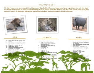 WHAT ARE THE BIG 5?

The “Big 5” refers to the Lion, Leopard, Rhino, Elephant, and Cape Buffalo. Why not the hippo, zebra, hyena, or giraffe you may ask? How about
the cheetah—that would be an animal you would probably like to see as much as a buffalo. Well, the term “Big 5” was actually coined by big game
hunters. It refers to the difficulty in bagging these large animals, mostly due to their ferocity when cornered and shot at.




                LION                                               LEOPARD                                                 RHINO
      Large, robust cat, with a longish heavy
       muzzle                                                Large, spotted cat, with short                       Rhinoceroses are among the largest of
      Male develops mane beginning in third                  powerful limbs, heavy torso, thick                    the herbivores
       year                                                   neck, and long tail                                  Barrel-shaped bodies, thick legs, and
      Length: 8 – 11'; Height: 3'8" – 4'                    Short sleek coat tawny yellow to                      three-toed feet
      Weight: 268 – 528 lbs.                                 reddish brown                                        Very long head, with wide square
      Habitat: Grasslands and savannas;                     Length: 3'4" – 4'2"                                   mouth; massive hump at the top of
       woodlands; and dense bush                             Tail: 27 – 32"                                        neck
      Breeding: Year-round; 1 – 4 cubs; 3.5                 Height: 23 – 28"                                     Horns in both sexes
       months gestation                                      Weight 62 – 143 lbs.                                 Slate-gray to yellow-brown
      Prides include two to three to 40 lions               Habitat: Every type except interior of               Length: 11'4" – 13'4"
      Females are lifelong residents of their                large deserts                                        Height: 5'4" – 6'2"
       mothers’ territories                                  Breeding: 1 – 4 cubs born year-round                 Weight: 3,740 – 5,060 lbs.
      Adolescent males roam as nomads until                 Solitary and territorial but sometimes               Habitat: Savannas with shade trees,
       they mature                                            shares hunting ranges                                 water holes, and mud wallows
                                                             Eats whatever form of animal protein                 Breeding: 1 calf form in March or April
                                                              is available                                         Nearly pure grazer
                                                                                                                   Form peer groups; males defend
                                                                                                                    territories
 