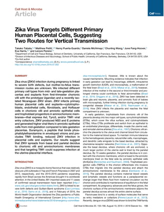 Cell Host & Microbe
Article
Zika Virus Targets Different Primary
Human Placental Cells, Suggesting
Two Routes for Vertical Transmission
Takako Tabata,1,3 Matthew Petitt,1,3 Henry Puerta-Guardo,2 Daniela Michlmayr,2 Chunling Wang,2 June Fang-Hoover,1
Eva Harris,2,* and Lenore Pereira1,*
1Department of Cell and Tissue Biology, School of Dentistry, University of California, San Francisco, San Francisco, CA 94143, USA
2Division of Infectious Diseases and Vaccinology, School of Public Health, University of California, Berkeley, Berkeley, CA 94720-3370, USA
3Co-ﬁrst author
*Correspondence: eharris@berkeley.edu (E.H.), lenore.pereira@ucsf.edu (L.P.)
http://dx.doi.org/10.1016/j.chom.2016.07.002
SUMMARY
Zika virus (ZIKV) infection during pregnancy is linked
to severe birth defects, but mother-to-fetus trans-
mission routes are unknown. We infected different
primary cell types from mid- and late-gestation pla-
centas and explants from ﬁrst-trimester chorionic
villi with the prototype Ugandan and a recently iso-
lated Nicaraguan ZIKV strain. ZIKV infects primary
human placental cells and explants—cytotropho-
blasts, endothelial cells, ﬁbroblasts, and Hofbauer
cells in chorionic villi and amniotic epithelial cells
and trophoblast progenitors in amniochorionic mem-
branes—that express Axl, Tyro3, and/or TIM1 viral
entry cofactors. ZIKV produced NS3 and E proteins
and generated higher viral titers in amniotic epithelial
cells from mid-gestation compared to late-gestation
placentas. Duramycin, a peptide that binds phos-
phatidylethanolamine in enveloped virions and pre-
cludes TIM1 binding, reduced ZIKV infection in
placental cells and explants. Our results suggest
that ZIKV spreads from basal and parietal decidua
to chorionic villi and amniochorionic membranes
and that targeting TIM1 could suppress infection at
the uterine-placental interface.
INTRODUCTION
Zika virus (ZIKV) is a mosquito-borne ﬂavivirus that was relatively
obscure until outbreaks in Yap and French Polynesia in 2007 and
2013, respectively, and the 2015–2016 pandemic expanding
rapidly from Brazil across the Americas brought it to worldwide
attention. In the United States, 691 imported cases and 11 cases
of conﬁrmed sexual transmission have been reported (http://
www.cdc.gov/zika/geo/united-states.html). ZIKV is linked to se-
vere birth defects and Guillain-Barre´ syndrome (Cao-Lormeau
et al., 2016; Sarno et al., 2016), and in February of 2016, the
World Health Organization declared the Zika pandemic a Public
Health Emergency of International Concern (http://www.who.
int/mediacentre/news/statements/2016/emergency-committee-
zika-microcephaly/en/). However, little is known about the
causal mechanisms. Mounting evidence indicates that infection
in early gestation can lead to miscarriage, stillbirth, intrauterine
growth restriction (IUGR), and microcephaly, a malformation of
the fetal brain (Brasil et al., 2016; Mlakar et al., 2016); however,
infection of the mother in the second or third trimester and pro-
longed viremia could contribute to fetal abnormalities (Brasil
et al., 2016; Driggers et al., 2016). ZIKV has been detected in
brain glia and neurons, placenta, and amniotic ﬂuid of babies
with microcephaly, further linking infection during pregnancy to
congenital disease (Mlakar et al., 2016; Rasmussen et al.,
2016). How ZIKV infects the placenta and reaches the fetal
compartment is unknown.
In early gestation, trophoblasts from chorionic villi of the
placenta develop into two major cell types, syncytiotrophoblasts
(STBs), which cover the villus surface, and cytotrophoblasts
(CTBs). Villus CTBs proliferate and switch from an epithelial to
an endothelial phenotype, differentiate, invade the uterine wall,
and remodel uterine arteries (Zhou et al., 1997). Chorionic villi an-
chor the placenta to the uterus and channel blood from circula-
tion to the maternal blood space. To maintain immune tolerance
to the hemiallogeneic placenta, natural killer cells, macrophages,
and dendritic cells emigrate to the basal decidua, attracted by
chemokine-receptor networks (Red-Horse et al., 2001). Oppo-
site the basal decidua, where chorionic villi are anchored, a
much larger portion of the uterine wall is lined by the parietal
decidua. By 15 weeks gestation, the parietal decidua is in con-
tact with the chorionic membrane, which is fused to the amniotic
membrane lined on the fetal side by amniotic epithelial cells
(AmEpCs) (Benirschke and Kaufmann, 2000). Trophoblast pro-
genitor cells (TBPCs) in the chorion differentiate into invasive
CTBs that migrate into the parietal decidua and attach the
amniochorionic membranes to the uterus (Genbacev et al.,
2015). The parietal decidua contains maternal blood vessels
and lymphatic vessels and functions as a paraplacental ex-
change organ that ﬁlters ﬂuid from maternal circulation via the
chorion and contributes to maintenance of equilibrium in the fetal
compartment. As pregnancy advances and the fetus grows, the
chorionic surface of the amniochorionic membrane adjoins the
parietal decidua across almost the entire uterine surface.
Flaviviruses bind to a variety of surface molecules that serve
as entry mediators or cofactors (Perera-Lecoin et al., 2013).
Recently, dengue virus (DENV) was shown to bind the TAM family
Cell Host  Microbe 20, 155–166, August 10, 2016 ª 2016 Elsevier Inc. 155
 