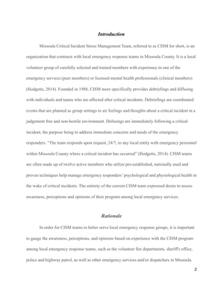 CISM Report | PDF