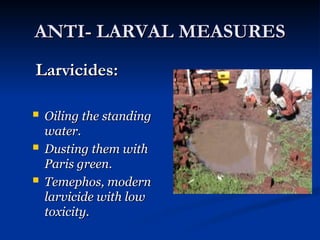 ANTI- LARVAL MEASURES
ANTI- LARVAL MEASURES
Larvicides:
Larvicides:
 Oiling the standing
Oiling the standing
water.
water.
 Dusting them with
Dusting them with
Paris green.
Paris green.
 Temephos, modern
Temephos, modern
larvicide with low
larvicide with low
toxicity.
toxicity.
 