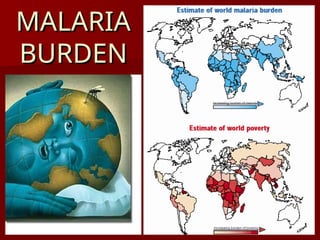MALARIA
MALARIA
BURDEN
BURDEN
 