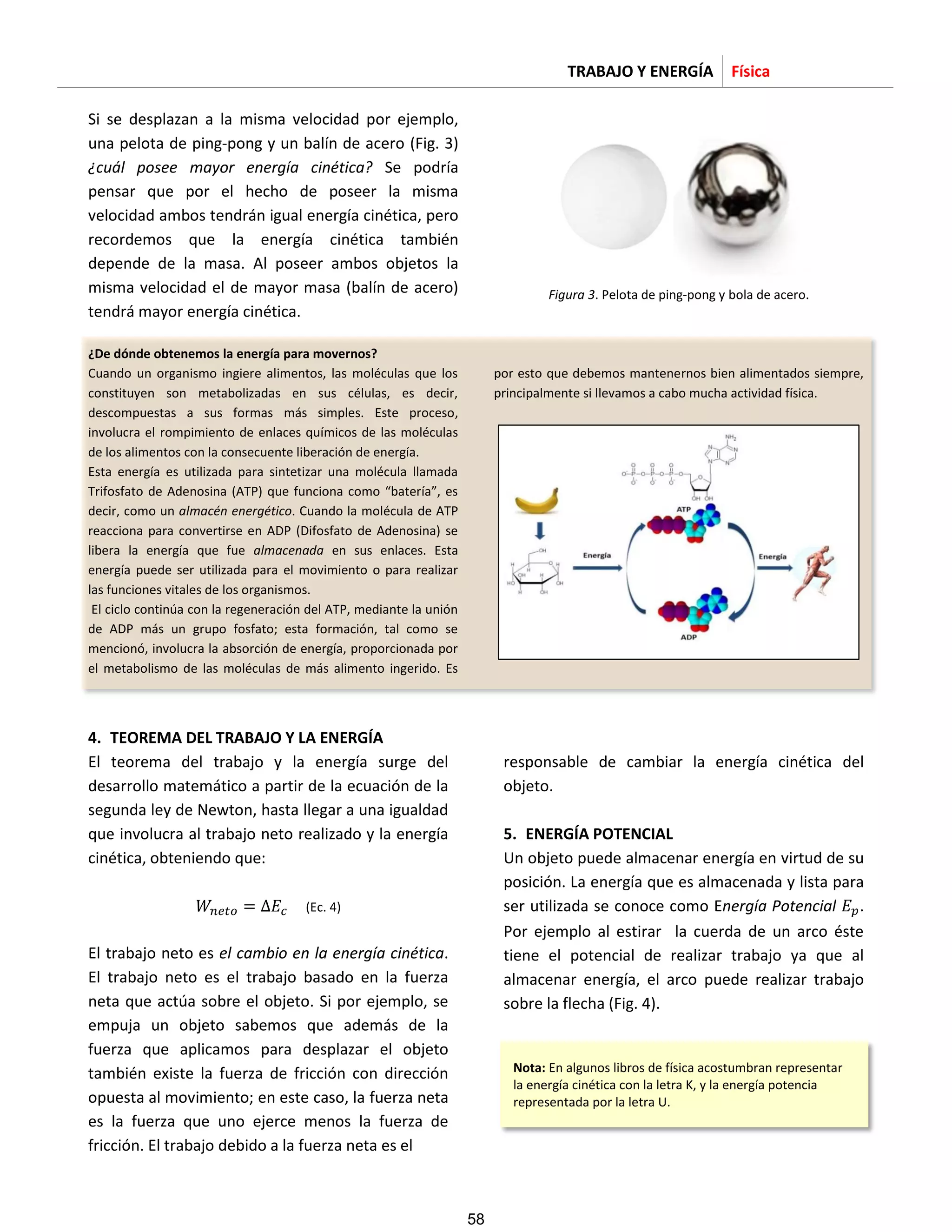TRABAJO Y ENERGÍA Física
Si se desplazan a la misma velocidad por ejemplo,
una pelota de ping-pong y un balín de acero (Fig. 3)
¿cuál posee mayor energía cinética? Se podría
pensar que por el hecho de poseer la misma
velocidad ambos tendrán igual energía cinética, pero
recordemos que la energía cinética también
depende de la masa. Al poseer ambos objetos la
misma velocidad el de mayor masa (balín de acero)
tendrá mayor energía cinética.
Figura 3. Pelota de ping-pong y bola de acero.
¿De dónde obtenemos la energía para movernos?
Cuando un organismo ingiere alimentos, las moléculas que los
constituyen son metabolizadas en sus células, es decir,
descompuestas a sus formas más simples. Este proceso,
involucra el rompimiento de enlaces químicos de las moléculas
de los alimentos con la consecuente liberación de energía.
Esta energía es utilizada para sintetizar una molécula llamada
Trifosfato de Adenosina (ATP) que funciona como “batería”, es
decir, como un almacén energético. Cuando la molécula de ATP
reacciona para convertirse en ADP (Difosfato de Adenosina) se
libera la energía que fue almacenada en sus enlaces. Esta
energía puede ser utilizada para el movimiento o para realizar
las funciones vitales de los organismos.
El ciclo continúa con la regeneración del ATP, mediante la unión
de ADP más un grupo fosfato; esta formación, tal como se
mencionó, involucra la absorción de energía, proporcionada por
el metabolismo de las moléculas de más alimento ingerido. Es
por esto que debemos mantenernos bien alimentados siempre,
principalmente si llevamos a cabo mucha actividad física.
4. TEOREMA DEL TRABAJO Y LA ENERGÍA
El teorema del trabajo y la energía surge del
desarrollo matemático a partir de la ecuación de la
segunda ley de Newton, hasta llegar a una igualdad
que involucra al trabajo neto realizado y la energía
cinética, obteniendo que:
(Ec. 4)
El trabajo neto es el cambio en la energía cinética.
El trabajo neto es el trabajo basado en la fuerza
neta que actúa sobre el objeto. Si por ejemplo, se
empuja un objeto sabemos que además de la
fuerza que aplicamos para desplazar el objeto
también existe la fuerza de fricción con dirección
opuesta al movimiento; en este caso, la fuerza neta
es la fuerza que uno ejerce menos la fuerza de
fricción. El trabajo debido a la fuerza neta es el
responsable de cambiar la energía cinética del
objeto.
5. ENERGÍA POTENCIAL
Un objeto puede almacenar energía en virtud de su
posición. La energía que es almacenada y lista para
ser utilizada se conoce como Energía Potencial .
Por ejemplo al estirar la cuerda de un arco éste
tiene el potencial de realizar trabajo ya que al
almacenar energía, el arco puede realizar trabajo
sobre la flecha (Fig. 4).
Nota: En algunos libros de física acostumbran representar
la energía cinética con la letra K, y la energía potencia
representada por la letra U.
58
 
