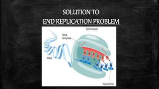 End Replication Error my ppt IMP | PPTX