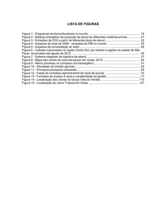LISTA DE FIGURAS
Figura 1 - Programas de biocombustíveis no mundo. ............................................................... 16
Figura 2 - Balanço energético da produção de álcool de diferentes matérias-primas................ 21
Figura 3 - Emissões de CO2 a partir de diferentes tipos de etanol............................................ 22
Figura 4 - Impactos da crise de 2008 - variações do PIB no mundo. ........................................ 25
Figura 5 - Impactos da consolidação do setor........................................................................... 28
Figura 6 - Colheita mecanizada na região Centro-Sul, por estado e regiões do estado de São
Paulo. Acumulado até agosto de 2013. .................................................................................... 36
Figura 7 - Sistema integrado de logística de etanol. ................................................................. 37
Figura 8 - Mapa das usinas de cana-de-açúcar em Goiás, 2012. ............................................. 45
Figura 9 - Macro processo no complexo sucroenergético. ........................................................ 51
Figura 10 - Atividades da divisão agrícola................................................................................. 52
Figura 11 - Principais processos industriais. ............................................................................. 59
Figura 12 - Fases do complexo agroindustrial da cana-de-açúcar. ........................................... 70
Figura 13 - Formatos de acesso à cana e complexidade da gestão.......................................... 71
Figura 14 - Localização das Usinas do Grupo Vale do Verdão. .............................................. 115
Figura 15 - Localização da Usina Tropical em Goiás. ............................................................. 127
 