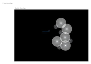 Brochure Cover Page
Client: Credit Suise
 