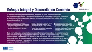 nanopymes-resultados