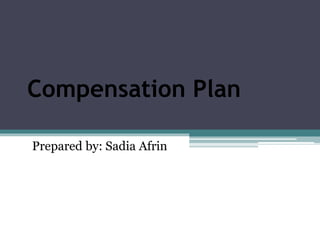 Compensation Plan
Prepared by: Sadia Afrin
 