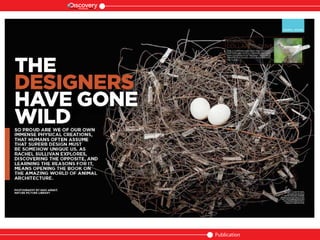 Publication
Channel Magazine india
 