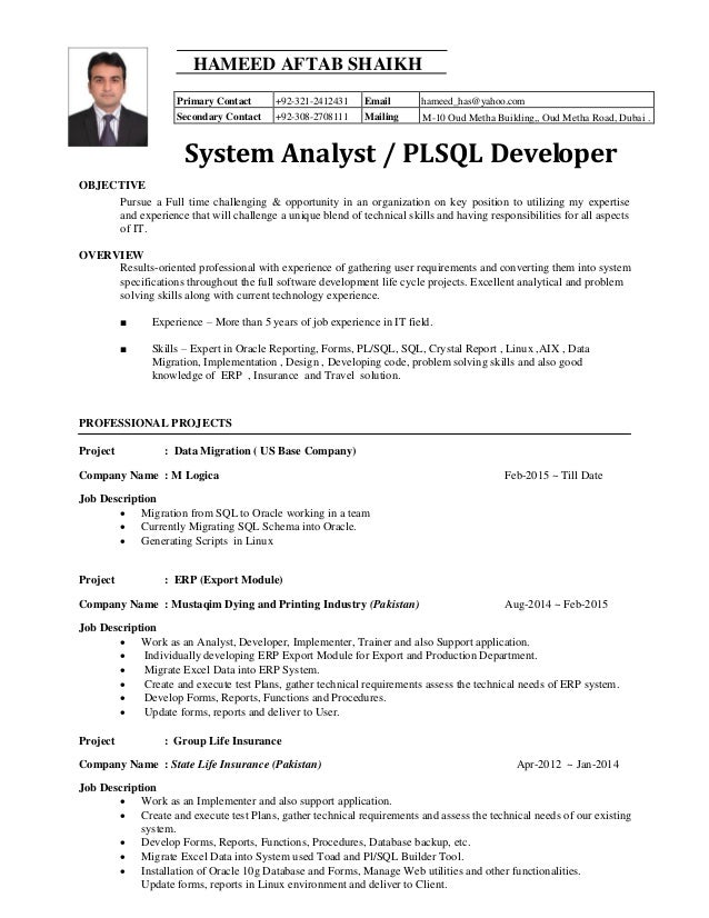 technical consultant job description