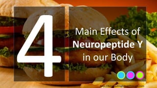 Main Effects of
Neuropeptide Y
in our Body
http://bingeeatingbreakthrough.com
 