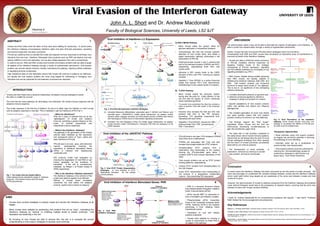 ABSTRACT 1
Viruses and their hosts since the dawn of time have been battling for supremacy. In recent years
the Interferon Gateway encompassing Interferon alpha and beta (IFN-α/β) expression, signalling
and antiviral responses, has been uncovered.
IFN-α/β are cytokines that co-ordinate the innate and adaptive immune responses to eliminate virus
infections from the host. Interferon Stimulated Gene products such as PKR can destroy viral and
cellular mRNAs to limit viral replication, but can also initiate apoptosis if the cell is overwhelmed.
In order to survive, RNA and DNA viruses have evolved viral evasion proteins that are able to target
all aspects of the Interferon Gateway through a variety of sophisticated mechanisms. Viral evasion
proteins can encode cellular domains, directly neutralising the gateway, hijacking cellular pathways
or degrading antiviral components.
High mutational rates of viral replication ensure that viruses will continue to adapt to our defences,
but equally the viral evasion proteins are novel drug targets for eliminating or managing virus
infections and can be subverted for the treatment of autoimmune disorders.
Viral Evasion of the Interferon Gateway
John A. L. Short and Dr. Andrew Macdonald
Faculty of Biological Sciences, University of Leeds, LS2 9JT
P
STAT-2
P
STAT-1
Cell membrane
P
STAT-1
P
STAT-2
IFNAR2
STAT-1
IFNAR1
Tyk2 Jak1
Nipah V Protein
Hendra V Protein
Rabies Virus P Protein
STAT-1
P
Measles Virus P protein
Sendai Virus C protein
Hepatitis C Virus NS5A protein
Sendai Virus C protein
Hepatitis C Virus Core protein
Tyk2 Jak1
STAT-2
STAT-1
P STAT-2
PSTAT-1
Nucleus
ISGs
IRF-9
ISRE
IRF-9
ISGF3
STAT-2
PSTAT-1
P
BA
DISCUSSION
The antiviral state, whilst it may not be able to eliminate the majority of pathogenic virus infections, is
able to curtail virus dissemination through a variety of sophisticated mechanisms.
Clearly, viruses that had not evolved IFN-α/β evasion strategies would now be extinct.
Consequently both RNA and DNA viruses have developed an impressive array of mechanisms to
surmount all levels of the Interferon Gateway.
INTRODUCTION
Viruses and their hosts have a dynamic relationship, constantly evolving strategies to outwit
the other in a battle for survival.
The host has two main pathways for eliminating virus infections; the innate immune response and the
adaptive immune response.
The innate response is the first line of defence. Its role is to either clear the infection or hold it at bay
until an adaptive response is mounted. This is mediated in part by Interferons (IFN) (Fig.1).
Fig. 1. The Innate Immune System Matrix.
Green dashed arrows indicate the target of cytokines
produced. Pink dashed arrows show the target
of IFN-α/β produced.
Viral Nucleic Acids
TLR Pathway RIG-I/MDA5 Pathways
JAK/STAT Pathway
Interferon
Stimulated
Genes
RNA Viruses
Bovine Viral Diarrhoea Virus
Ebola Virus
Influenza A
Rotavirus
DNA Viruses
Epstein Barr
Herpes Simplex
Vaccinia
Transcription Factor
Activation Pathway
RNA Viruses
Hepatitis C Virus
DNA Viruses
Vaccina
RNA Viruses
Hepatitis C Virus
Influenza A
Measles Virus
Mumps Virus
Parainfluenza
Respiratory
Syncytial Virus
Sedai Virus
RNA Viruses
Borna Disease Virus
Bovine Viral Diarrhoea Virus
Classical Swine Fever Virus
Ebola Virus
Influenza A
NY-1V
Rabies Virus
Respiratory Syncytial Virus
Rotavirus
SARS-CoV
Thogoto Virus
DNA Viruses
Adenovirus
Human Herpes Virus 6
Human Herpes Virus 8
Herpes Simplex
RNA Viruses
Hepatitis C Virus
Hendra Virus
Japanese Encephalitis Virus
Langat virus
Measles Virus
Mumps Virus
Nipah Virus
Parainfluenza
RABV
SARS-CoV
Sendai Virus
West Nile Virus
DNA Viruses
Hepatitis B Virus
Human Cytomegalovirus
Human Papilloma Virus
Herpes Simplex
Vaccinia
RNA Viruses
Hepatitis C Virus
HIV
Rabies Virus
DNA Viruses
Adenovirus
Epstein Barr
Human Herpes Virus 8
Human Papilloma Virus
Herpes Simplex
Vaccinia
Viral Inhibition of the JAK/STAT Pathway 5
Virus
Virus Infected Cell
TLRs RIG-I MDA5
Interferon Stimulated Genes
JAK/STAT Pathway
Blood/ Tissues
Inflammation
Macrophages pDCComplement
Adaptive Immune System
NK Cells
Virus Infected Cell Apoptosis
PKR 2'-5' OAS MxADAR-1
TRIMs,
APOBECs
PML
Extracellular Immune Responses Intracellular Immune Responses
RNase L
• What are Interferons?
IFNs are a class of cytokine that act as the
“gatekeepers” of innate and adaptive
immunity, exhibiting a global influence on the
action of antiviral extracellular and
intracellular immune responses.
• What is the Interferon Gateway?
The gateway is the generation of the cellular
antiviral state mediated by the expression
and subsequent action of Type I alpha and
beta interferons (IFN-α/β).
IFN-α/β acts in an auto-, para- and endocrine
manner, subsequently inducing the
expression of Interferon Stimulated Genes
(ISGs) in infected and neighbouring
uninfected cells.
ISG products inhibit viral replication by
inducing the degradation of viral RNA or can
induce apoptosis by the shutdown of
translation if the cell is overwhelmed,
mediated by RNase L & Protein Kinase R
(PKR) respectively.
• Why is the Interferon Gateway important?
The Interferon Gateway is the lynchpin of the
innate host defence against virus infection.
Without it, viruses would completely
overwhelm the host before the adaptive
immune system had a chance to respond.
AIMS 3
• Viruses have evolved strategies to actively evade and subvert the Interferon Gateway at all
stages.
• Many viruses have adapted by expressing viral proteins that act as “keys”, modulating the
Interferon Gateway by “locking” or inhibiting multiple levels to enable continued viral
replication and assembly in the cell.
• By focusing on how viruses are able to achieve this, the aim is to evaluate the current
understanding of viral evasion strategies to develop novel antivirals.
Conclusion 8
In recent years the Interferon Gateway has been uncovered as the key portal of innate immunity. We
have only just begun to understand the complex interplay between viruses and the Interferon Gateway
which could yield further drug targets as our awareness of the arms race between viruses and host
continues to grow.
However, the rapid evolution of viruses to selective pressures from the Interferon Gateway and potential
novel antiviral therapies would lead to the emergence of resistant strains, ensuring that the arms race
between humans and viruses remains indefinite.
Acknowledgements
I thank Dr. Andrew Macdonald for his comprehensive guidance and support. I also thank Professor
Keith Holland for his encouragement and perspective.
Key References
Meylan, E., J. Tschopp, and M. Karin, Intracellular pattern recognition receptors in the host response. Nature, 2006. 442(7098): p. 39-44.
Pichlmair, A. and C. Reis e Sousa, Innate recognition of viruses. Immunity, 2007. 27(3): p. 370-83.
Randall, R.E. and S. Goodbourn, Interferons and viruses: an interplay between induction, signalling, antiviral responses and virus countermeasures. J Gen
Virol, 2008. 89(Pt 1): p. 1-47.
Unterholzner, L. and A.G. Bowie, The interplay between viruses and innate immune signaling: Recent insights and therapeutic opportunities. Biochem
Pharmacol, 2008. 75(3): p. 589-602.
Viral Inhibition of Interferon Stimulated Genes: PKR 6
• PKR is a seronine threonine kinase
that phosphorylates Elongation initiation
factor 2 subunit alpha (eIF2α).
• eIF2α recruits tMET to ribosomes to
form a translation pre-initiation complex.
• Phosphorylated eIF2α irreversibly
binds to the nucleotide exchange factor
eIF2B, “freezing” eIF2α in the complex
preventing it from initiating future
translational events.
• Translation of viral and cellular
proteins is blocked.
• Viruses have adapted by evolving a
variety of mechanisms to inhibit PKR at
all stages in the pathway.
PKR
PKR
PKR
dsRNA
P
P
eIF2
P
eIF2
Inactive for
Initiation of Translation
Active for
Initiation of Translation
Active
Kinase
Inactive
Kinase
Viral dsRNA homologues
Adenovirus E1A
Epstein Barr EB1
Hepatitis C Virus Internal
Ribosome Entry Site
Mediators of eIF2
Dephosphorylation
Human Papilloma Virus E6
Herpes Simplex ICP34.5
PKR Binding Proteins
Hepatitis C Virus E2
Hepatitis C Virus NS5A
HIV Tat
Herpes Simplex Us11
Influenza A NS1
Vaccinia E3L
Vaccinia K3L
dsRNA binding Proteins
Ebola Virus VP35
Epstein Barr EB2
Herpes Simplex Us11
Influenza A NS1
Rotavirus Sigma3
Vaccinia E3L
• IFN-α/β binds to the type I IFN receptors (IFNAR)
which then form a heterodimer.
• IFNARs are associated with Tyk2 and Jak1
kinases that phosphorylate the STAT proteins.
• Phosphorylated STAT proteins form a
heterodimer that translocates to the nucleus,
forming the IFN-stimulated gene factor 3
complex (ISGF3) that induces expression of the
ISGs.
• Viral evasion proteins can act as STAT protein
binding platforms, sequestering:
1. inactive STAT proteins from phosphorylation by
the JAK kinases.
2. active STAT heterodimers from translocating to
the nucleus in a degradation independent
manner , thus preventing ISG expression.
Fig. 3. Viral STAT Protein Sequestration
Strategies. A) Viral inhibition of STAT
heterodimer formation. B) The cellular
normal pathway.
Fig. 4. Viral PKR
Inhibition Strategies.
A) RIG-I/ MDA5 Pathway
• Many viruses utilise the cytosol, either for
genome replication or intracellular transport.
• Unsurprisingly, the host has evolved cytosolic
detectors of viral nucleic acids, that initiate a
signal transduction pathway culminating in the
transcription of IFN-α/β.
• Paramyxoviruses encode V and C proteins that
bind to the helicase domains of MDA5 and RIG-I
respectively, sequestering them from viral
nucleic acids.
• Influenza A NS1 protein binds to the CARD
domains of RIG-I and IPS-1 forming an inactive
complex.
• Hepatitis C Virus NS3/4A is a serine threonine
kinase that cleaves IPS-1 from mitochondria,
redistributing it to the cytosol where it is inactive.
B) TLR3/4 Pathway
• Many viruses exploit the endocytic system
during their life-cycle for initial infection of the
cell and also for egress of virions containing
newly replicated genomes
• To prevent virus subversion the host has evolved a
class of sentinel TLRs that reside in the endocytic
system.
• Vaccinia Virus encodes the A46 and A52 viral
proteins that bind to the TIR domains,
preventing TLR signalling components from
interacting with each other.
• Hepatitis C Virus NS3/4A cleaves the TBK-1
binding domain from TRIF, preventing the
TBK-1 recruitment.
Viral Inhibition of Interferon-α/β Expression 4
Fig. 2. Viral IFN-α/β Expression Inhibition Strategies.
A) Activated Melanoma differentiation associated gene 5 (MDA5) and Retinoic acid
inducible gene I (MDA5/RIG-I) initiate signal transduction via adaptor protein
domains called Caspase Activation and Recruitment Domain (CARDs) that interact
with homologous CARDs found on downstream signalling components
B) Activated Toll Like Receptors (TLRs) 3/4 initiate signal transduction via adaptor
protein domains called Toll/Interleukin-1 Receptor (TIR) that are analogous to the
CARD domains.
Endosome
TLR3
TLR4
MyD88
TRIF
= TIR Domain
Cell Membrane
TRAF6
TRAF6 Complex
IRF-3
P
c-Jun
P P
ATF-2
P
NS3/4A
TRAM MAL
A52
A46
Key
RIG-I
TRAF6/FADD Complex
Helicase Domain Helicase Domain
MDA5
Mitochondrion
IPS-1
V C
NS1
NS3/4A
= CARDDomain
P
IRF-7
P
TBK-1 Complex
Cytosol
P = Phosphate
Nucleus
IRF-7
P
IRF-7
P
c-Jun
P P
ATF-2 IRF-3
P
IRF-3
P
RIG-I/MDA5 Pathway TLR3/4 Pathway
Viral dsRNA
Viral
dsRNA
Viral envelope Glycoproteins
Viral ssRNA
= Interferon Transcription
Factor
= Viral Evasion Protein
= Phosphorylation
A B
2
7
Fig. 5. Viral Domination of the Interferon
Gateway. Some viruses encode more than one
strategy to counteract the effects of IFN-α/β and
are able to act at multiple levels.
• Viruses are able to inhibit the whole continuum
of IFN-α/β mediated antiviral responses by
targeting multiple levels of the strategic
components of IFN-α/β expression, signalling
and ISG effecter pathways by converging on key
signalling mediators e.g. IPS-1.
• RNA viruses, despite having smaller genomes
than DNA viruses, are equally capable of
inhibiting the Interferon Gateway. Both DNA and
RNA viral evasion proteins use conserved
functions to target many levels of the gateway.
This is due to an equilibrium of two contrasting
selective pressures:
1. Constant downward pressure on genome size.
2. Selective pressures applied by Interferon
Gateway to adapt viral proteins for evasion.
• Specific adaptations of viral evasion proteins
within viral families and strains can influence
pathogenicity.
• The constant generation of novel viral strains
and quasi species means that viral evasion
proteins continue to evolve to our host defences.
• The findings support the “Red Queen”
hypothesis where viruses and the host are
continuously developing countermeasures to
gain the evolutionary upper hand.
• The rapid rate of viral evolution compared to
the vastly slower rate of human immune systems,
means that we will always face the peril of novel
human pathogens emerging from other species
and the return of viruses previously successfully
dealt with by our immune systems.
• The development of novel antivirals is
essential to enhance our armoury to counter
past, present and future viral threats.
Therapeutic Opportunities
• Novel antivirals using viral evasion proteins
as targets has enormous potential in reducing
the pathology of virus infections
• Antivirals could act as a prophylaxis to
prevent further viral dissemination.
• Viral evasion proteins could be subverted for
reducing the immunopathology caused by
autoimmune diseases or other factors e.g.
tissue injury, Toxic Shock Syndrome.
Influenza A
Taken from: www.3DScience.com
IFN-
eIF2
IKK Complex
IB NF-B
NF-BIB
IKK Complex
NF-B
IFN-
IFN-
IFN-Promoter
IFN- Promoter
IFN-/IFN-/



 