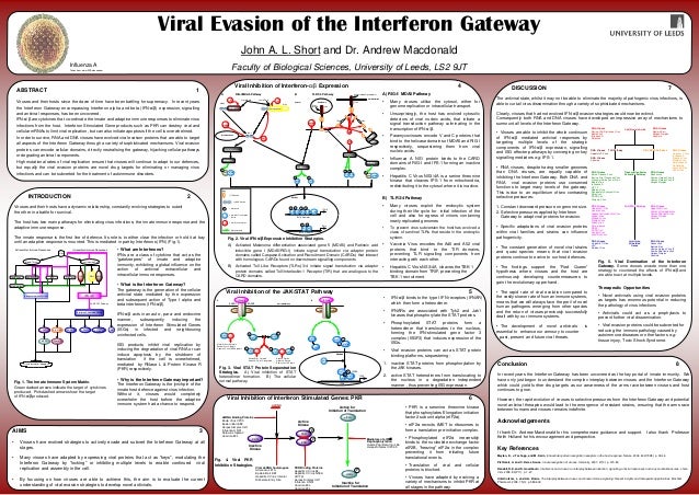 Short phd thesis physics