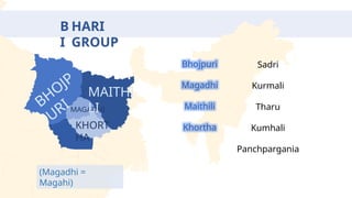 Maghadi Linguistic Diversity in India: Balancing Hindi with Regional Languages ...