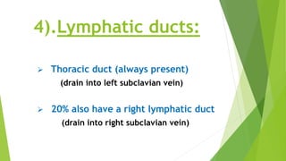 4).Lymphatic ducts:
 Thoracic duct (always present)
(drain into left subclavian vein)
 20% also have a right lymphatic duct
(drain into right subclavian vein)
 