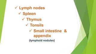  Lymph nodes
 Spleen
 Thymus
 Tonsils
 Small intestine &
appendix
(lymphoid nodules)
 
