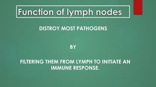 Function of lymph nodes
FILTERING THEM FROM LYMPH TO INITIATE AN
IMMUNE RESPONSE.
DISTROY MOST PATHOGENS
BY
 