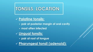 TONSILS. LOCATION
 Palatine tonsils:
 pair at posterior margin of oral cavity
 most often infected
 Lingual tonsils:
 pair at root of tongue
 Pharyngeal tonsil (adenoid):
 