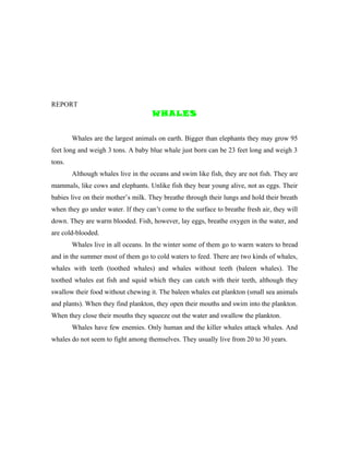 REPORT
                                     WHALES


        Whales are the largest animals on earth. Bigger than elephants they may grow 95
feet long and weigh 3 tons. A baby blue whale just born can be 23 feet long and weigh 3
tons.
        Although whales live in the oceans and swim like fish, they are not fish. They are
mammals, like cows and elephants. Unlike fish they bear young alive, not as eggs. Their
babies live on their mother’s milk. They breathe through their lungs and hold their breath
when they go under water. If they can’t come to the surface to breathe fresh air, they will
down. They are warm blooded. Fish, however, lay eggs, breathe oxygen in the water, and
are cold-blooded.
        Whales live in all oceans. In the winter some of them go to warm waters to bread
and in the summer most of them go to cold waters to feed. There are two kinds of whales,
whales with teeth (toothed whales) and whales without teeth (baleen whales). The
toothed whales eat fish and squid which they can catch with their teeth, although they
swallow their food without chewing it. The baleen whales eat plankton (small sea animals
and plants). When they find plankton, they open their mouths and swim into the plankton.
When they close their mouths they squeeze out the water and swallow the plankton.
        Whales have few enemies. Only human and the killer whales attack whales. And
whales do not seem to fight among themselves. They usually live from 20 to 30 years.
 