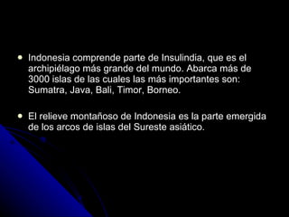 Indonesia comprende parte de Insulindia, que es el archipiélago más grande del mundo. Abarca más de 3000 islas de las cuales las más importantes son: Sumatra, Java, Bali, Timor, Borneo. El relieve montañoso de Indonesia es la parte emergida de los arcos de islas del Sureste asiático. 