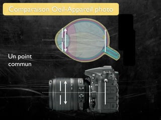 Comparaison Oeil-Appareil photo

Un point
commun

 