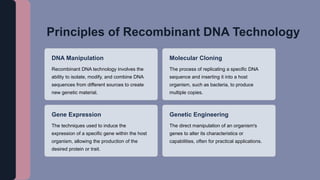 Dna Combining C1.pptxcfyfyuufutftuftufutftucutfutfutfutftufutftuftufftuf | PPTX