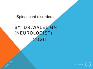Comprehensive Overview of Spinal Cord Anatomy and Pathways by Dr ...