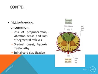 Comprehensive Overview of Spinal Cord Anatomy and Pathways by Dr ...