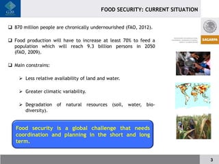 FOOD SECURITY: CURRENT SITUATION


 870 million people are chronically undernourished (FAO, 2012).

 Food production will have to increase at least 70% to feed a
  population which will reach 9.3 billion persons in 2050
  (FAO, 2009).

 Main constrains:

     Less relative availability of land and water.

     Greater climatic variability.

     Degradation    of natural resources (soil, water, bio-
      diversity).


   Food security is a global challenge that needs
   coordination and planning in the short and long
   term.


                                                                             3
 