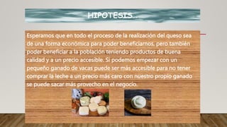 HIPOTESIS…
Esperamos que en todo el proceso de la realización del queso sea
de una forma económica para poder beneficiarnos, pero también
poder beneficiar a la población teniendo productos de buena
calidad y a un precio accesible. Si podemos empezar con un
pequeño ganado de vacas puede ser más accesible para no tener
comprar la leche a un precio más caro con nuestro propio ganado
se puede sacar más provecho en el negocio.
 