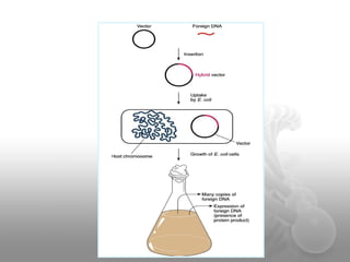 Recombinant DNA Technology | PDF