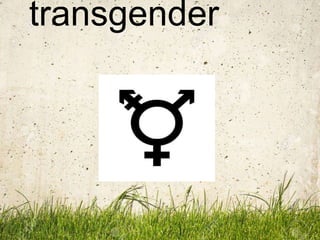transgender
 