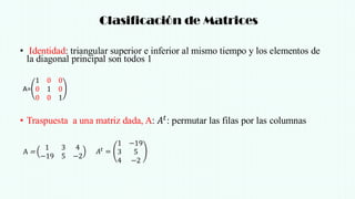 Matriz Diagonal Inferior C10- matrices y determinantes.pdf matemáticas | PDF