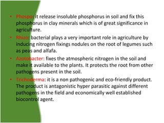 • Phospo: it release insoluble phosphorus in soil and fix this
phosphorus in clay minerals which is of great significance in
agriculture.
• Rhizo: bacterial plays a very important role in agriculture by
inducing nitrogen fixings nodules on the root of legumes such
as peas and alfafa.
• Azotobacter: fixes the atmospheric nitrogen in the soil and
make it available to the plants. It protects the root from other
pathogens present in the soil.
• Trichoderma: it is a non pathogenic and eco-friendly product.
The product is antagonistic hyper parasitic against different
pathogens in the field and economically well established
biocontrol agent.

 