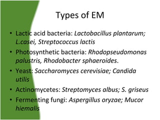 Types of EM
• Lactic acid bacteria: Lactobacillus plantarum;
L.casei, Streptococcus lactis
• Photosynthetic bacteria: Rhodopseudomonas
palustris, Rhodobacter sphaeroides.
• Yeast: Saccharomyces cerevisiae; Candida
utilis
• Actinomycetes: Streptomyces albus; S. griseus
• Fermenting fungi: Aspergillus oryzae; Mucor
hiemalis

 