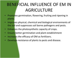 BENEFICIAL INFLUENCE OF EM IN
AGRICULTURE
• Promotes germination, flowering, fruiting and ripening in
plants.
• Improves physical, chemical and biological environments of
the soil and suppresses soil borne pathogens and pests.
• Enhances the photosynthetic capacity of crops.
• Ensure better germination and plant establishment
• Increases the efficacy of OM as fertilizers.
• Develops resistance of plants to pests and disease.

 