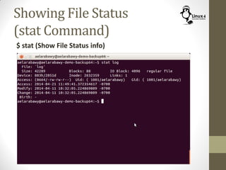 File Statuses Course 102: Lecture 5: File Handling Internals | PDF