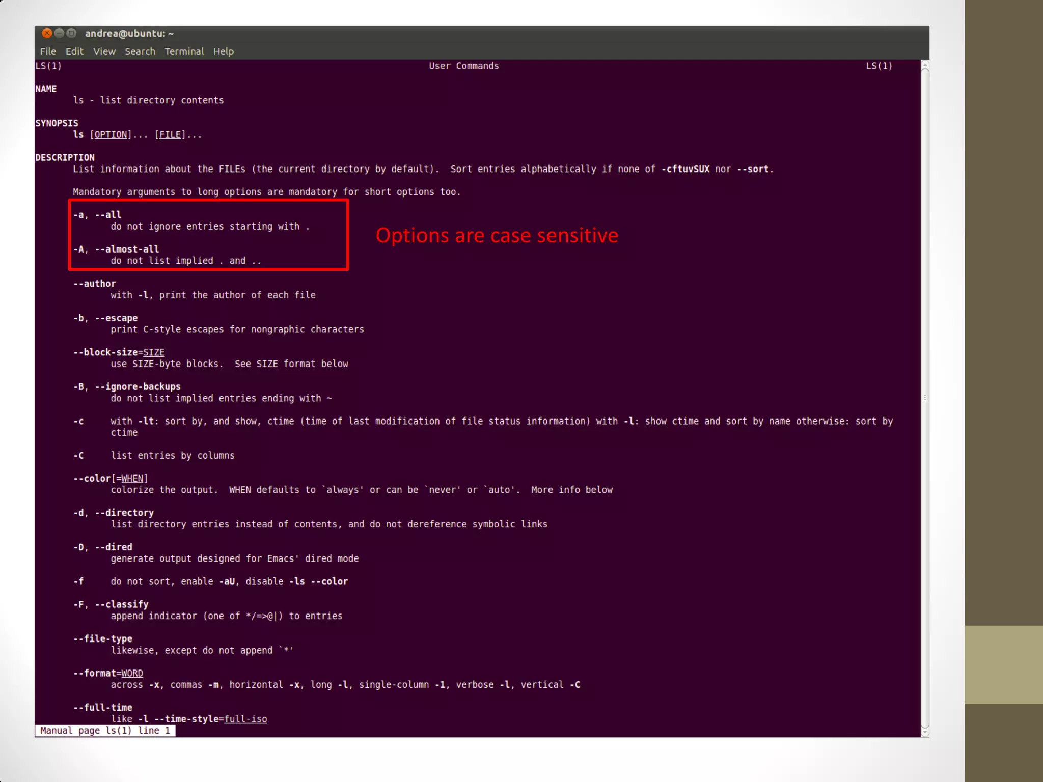 Options are case sensitive
 