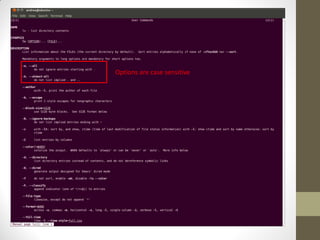 Options are case sensitive
 