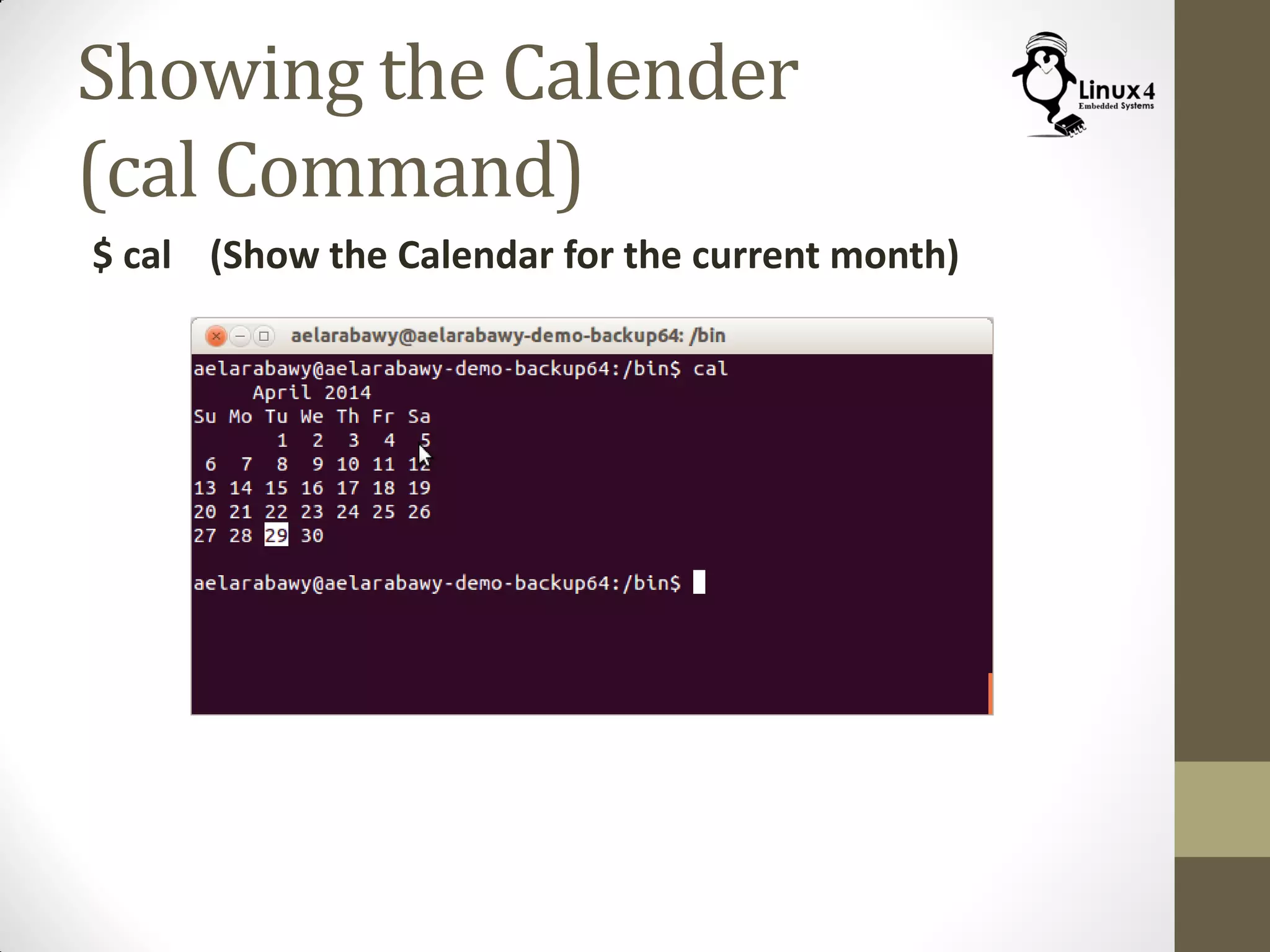 Showing the Calender
(cal Command)
$ cal (Show the Calendar for the current month)
 